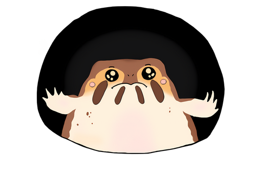 Peek-a-Rainfrog Hoodie | Kaakun Discovery